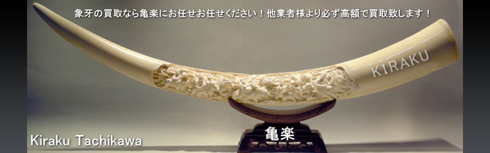メインイメージ