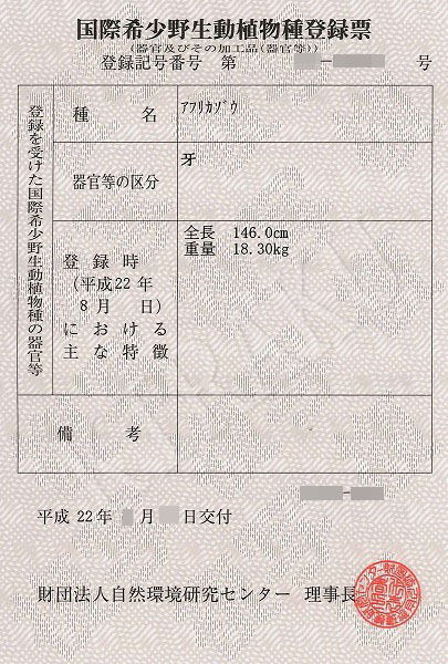 象牙登録票サンプル